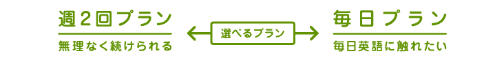 ベーシックプランとバリュープラン