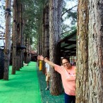 f8f3ce77200f6dc8db6690ad26fbe16ea2c1143b