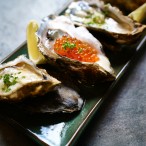 the world is _'s  oyster