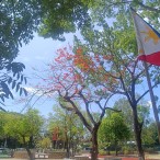 IMG_20260521_102807