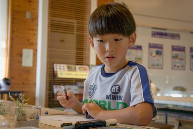 子どもが勉強している様子